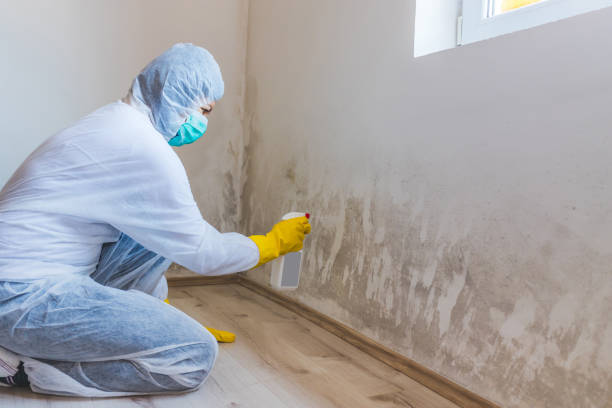 Licensed Mold Remediation service in Denton, TX - Car Mold Remediation